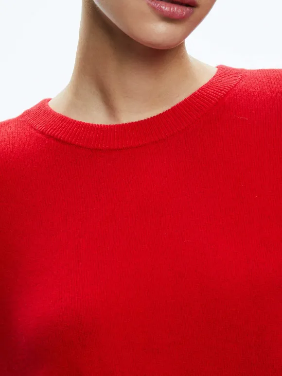 Angie Pullover | Alice and Olivia Sale