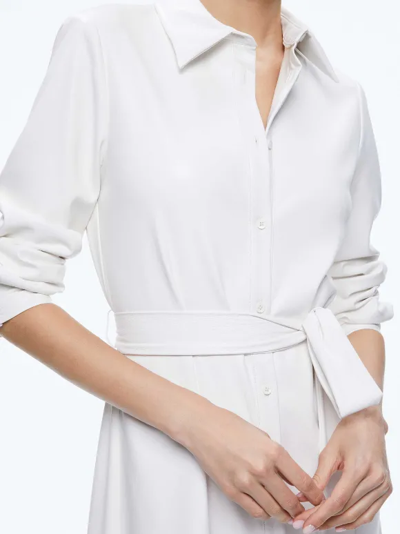 Chassidy Vegan Leather Maxi Shirt Dress | Alice and Olivia Shop