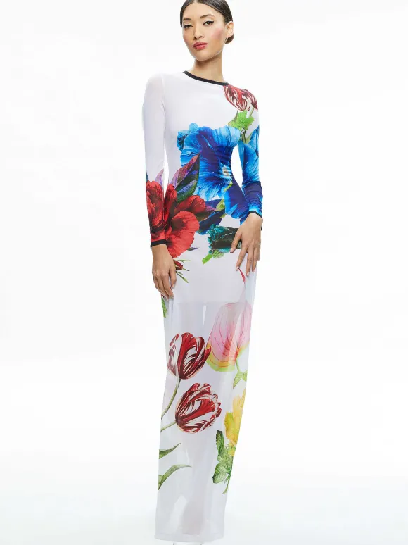 Delora Long Sleeve Crew Neck Maxi Dress | Alice and Olivia Fashion