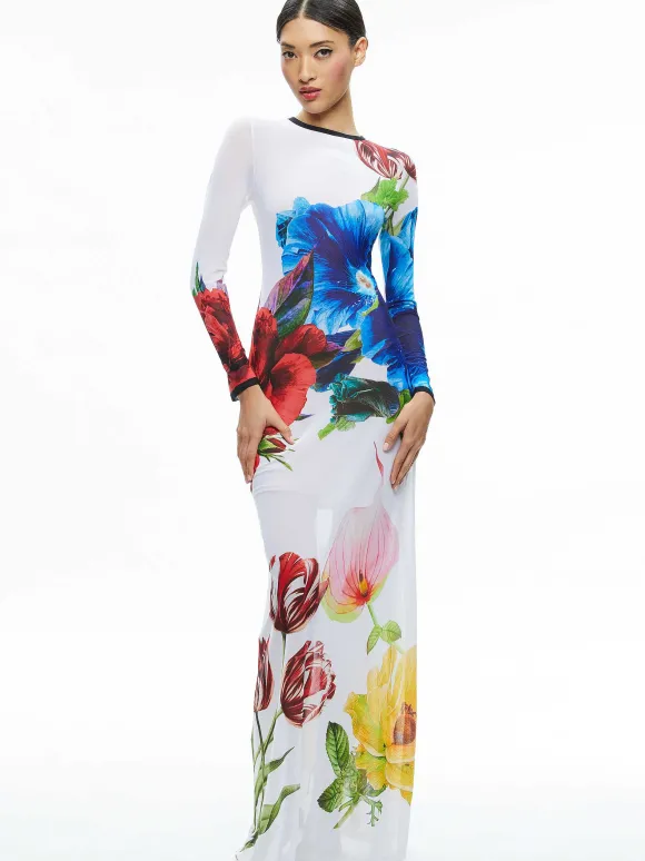 Delora Long Sleeve Crew Neck Maxi Dress | Alice and Olivia Fashion
