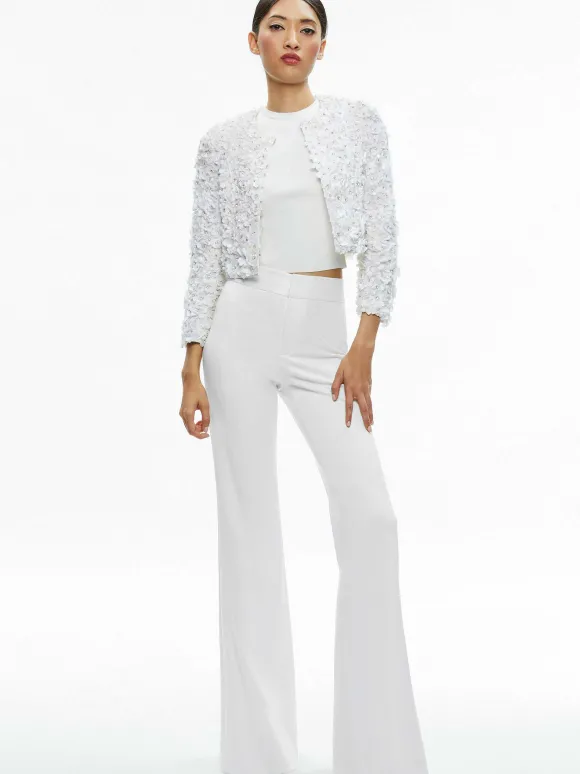 Domenica Embellished Mini Gown + Lorna Embellished Cropped Jacket | Alice and Olivia New