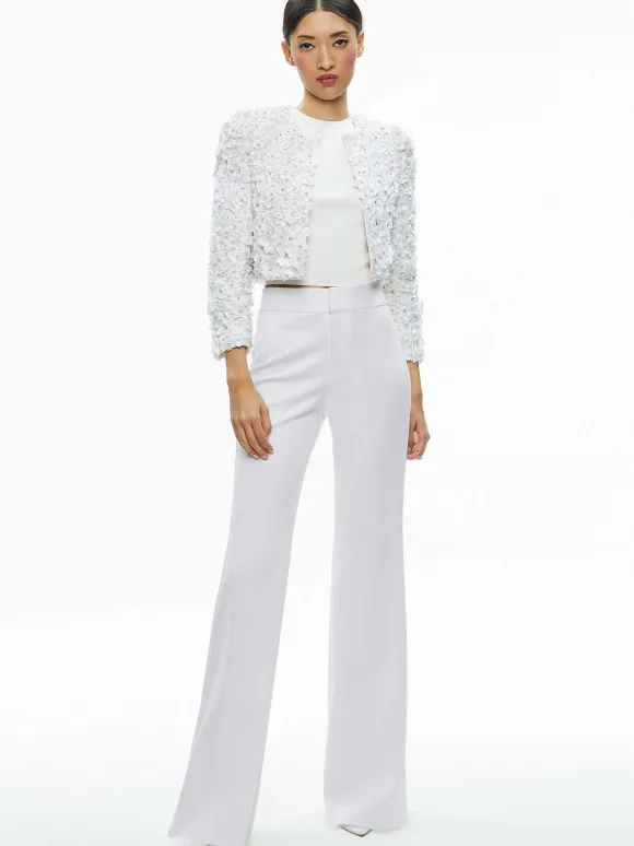 Domenica Embellished Mini Gown + Lorna Embellished Cropped Jacket | Alice and Olivia New