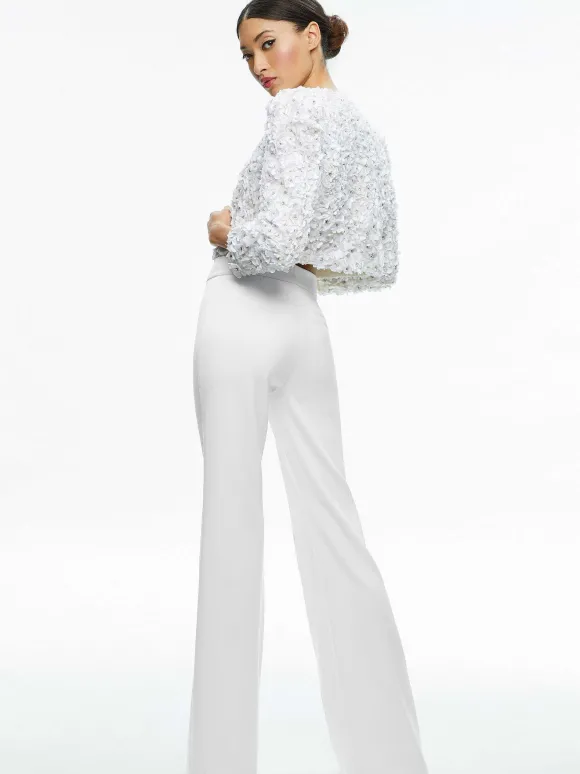 Domenica Embellished Mini Gown + Lorna Embellished Cropped Jacket | Alice and Olivia New
