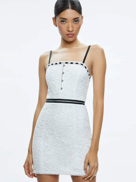 Matilda Lace Mini Dress | Alice and Olivia Online