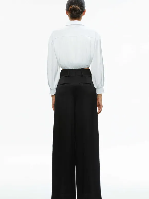 Pierre Pleated Back Button Down | Alice and Olivia Store