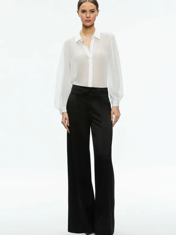 Roanne Sheer Blouse | Alice and Olivia Best