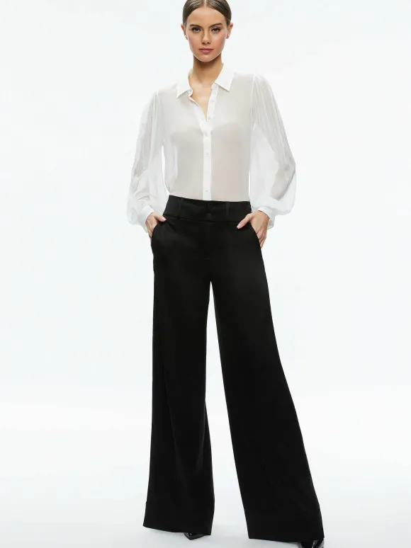Roanne Sheer Blouse | Alice and Olivia Best