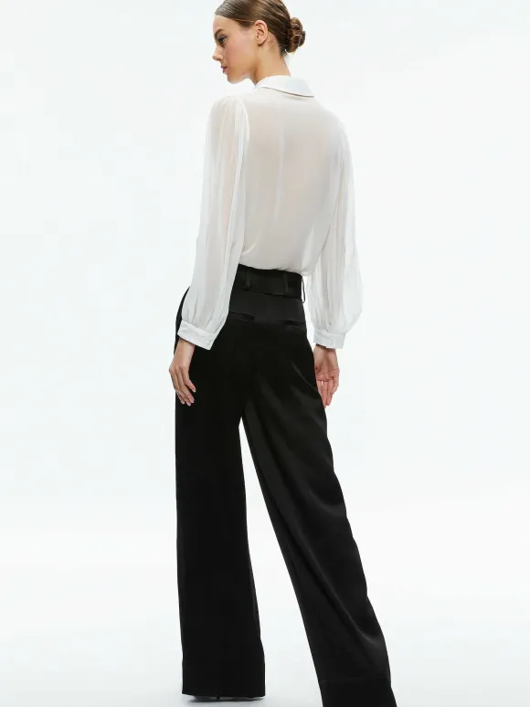 Roanne Sheer Blouse | Alice and Olivia Best