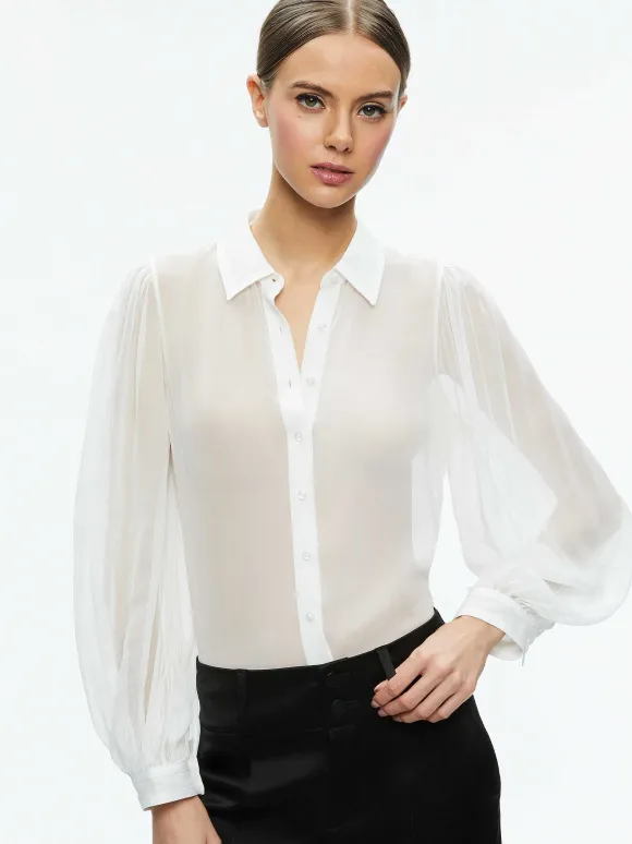 Roanne Sheer Blouse | Alice and Olivia Best