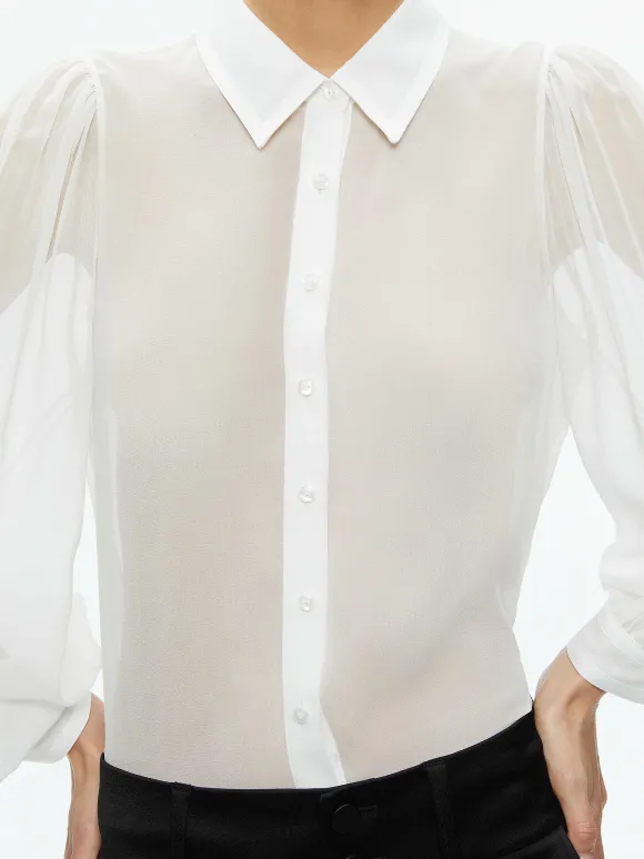 Roanne Sheer Blouse | Alice and Olivia Best