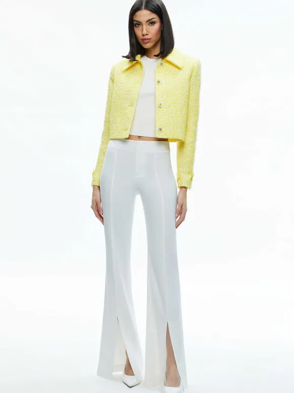 Tammy 50S Style Jacket | Alice and Olivia New
