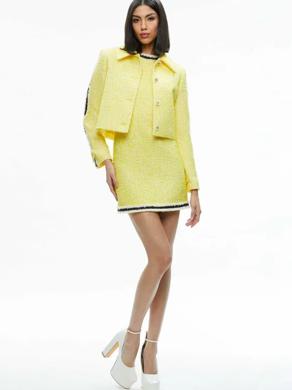 Tammy 50S Style Jacket | Alice and Olivia New