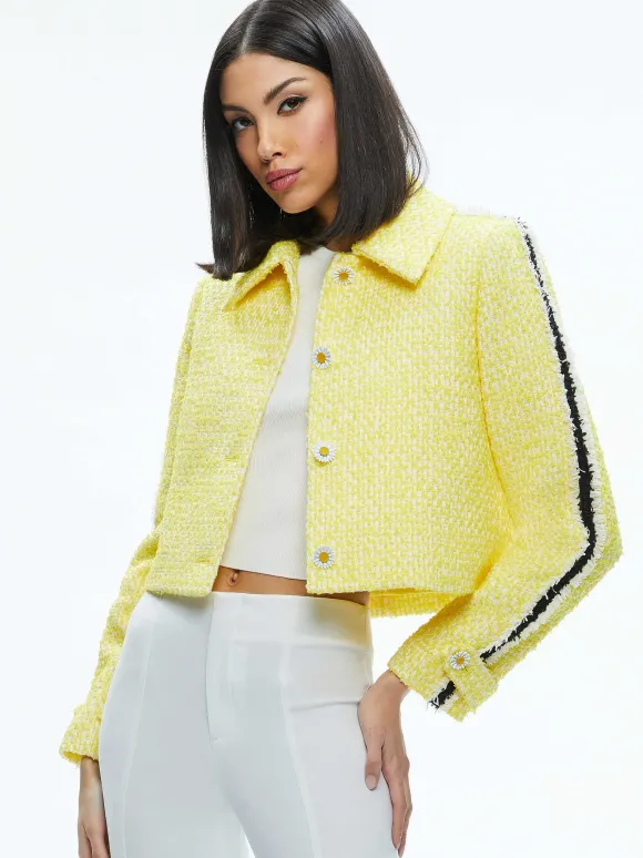 Tammy 50S Style Jacket | Alice and Olivia New