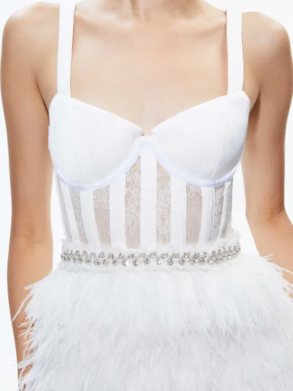Xia Sheer Bustier Feathered Mini Dress | Alice and Olivia Cheap